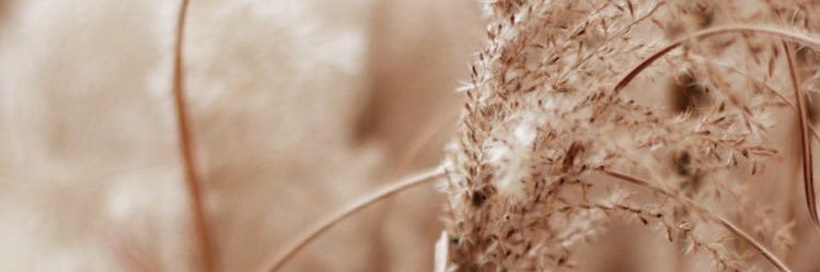 MyPhilocaly's profile banner image