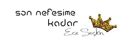 Turkan_Elifzade's profile banner image