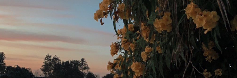 Fon7N's profile banner image