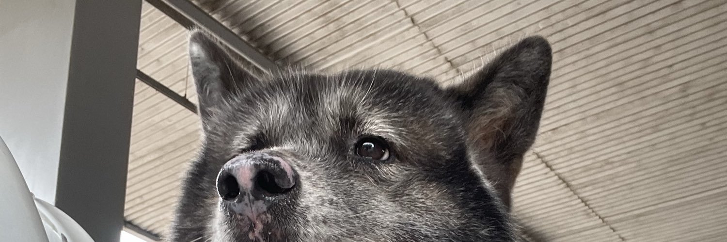 orepaula26's profile banner image