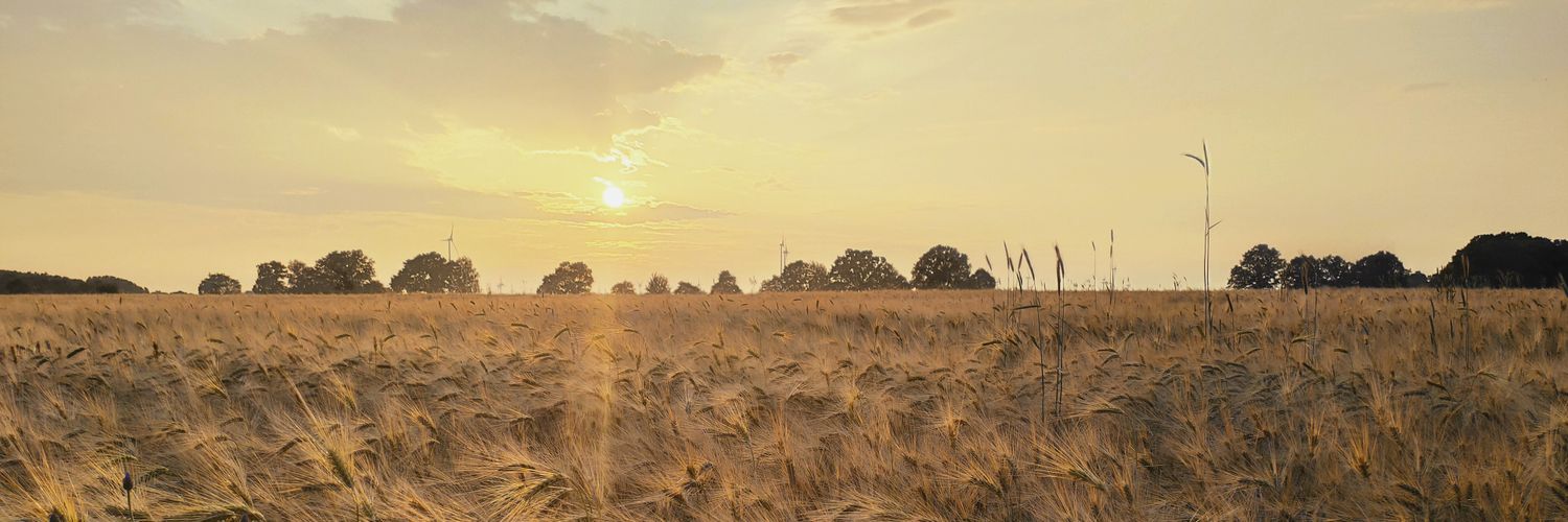 JaegerRalph's profile banner image