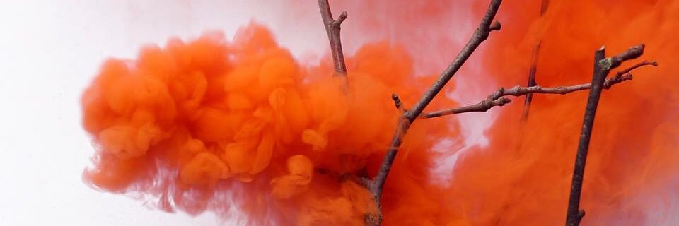 PascaleBarget banner