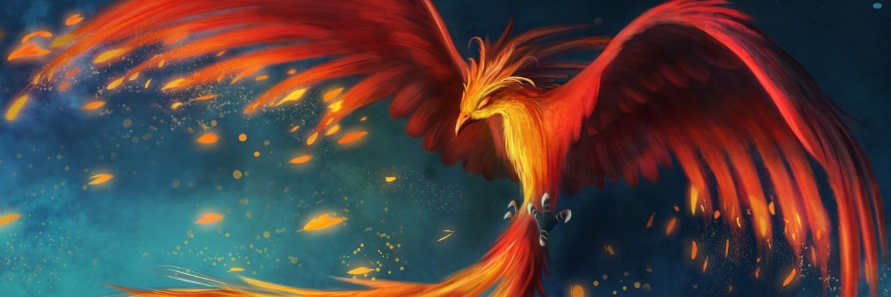 phoenix_rocket's profile banner image