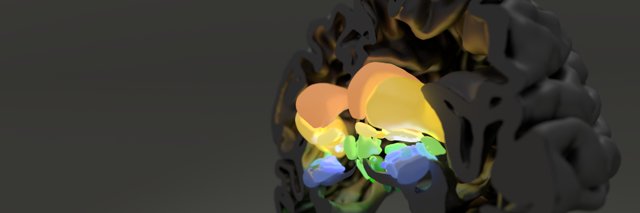 neurobabel's profile banner image