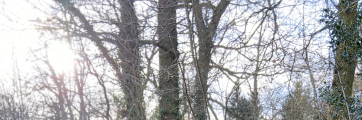 Darren banner