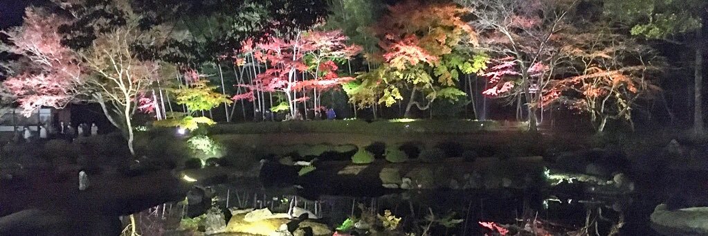 ymgc1002's profile banner image
