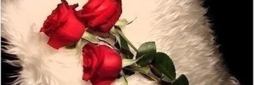 PreetiSometime1's profile banner image