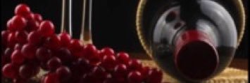 ielena14's profile banner image