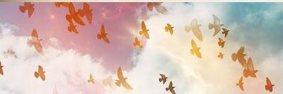 chillogdigg's profile banner image