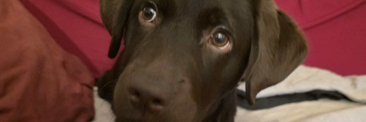 ciemme71's profile banner image