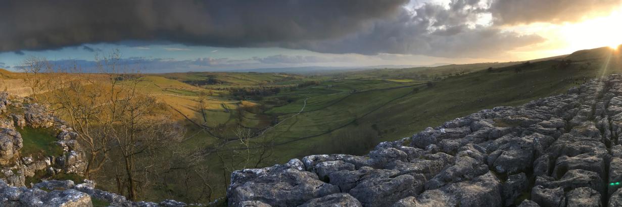 Prof Andrew Wilson banner