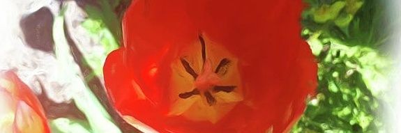 fudgsickle's profile banner image