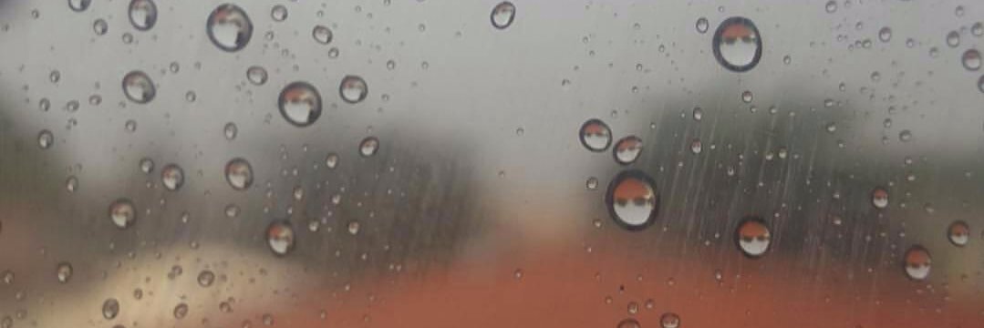 talescopolla's profile banner image