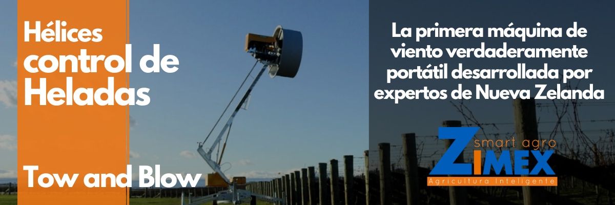 zimexchile's profile banner image