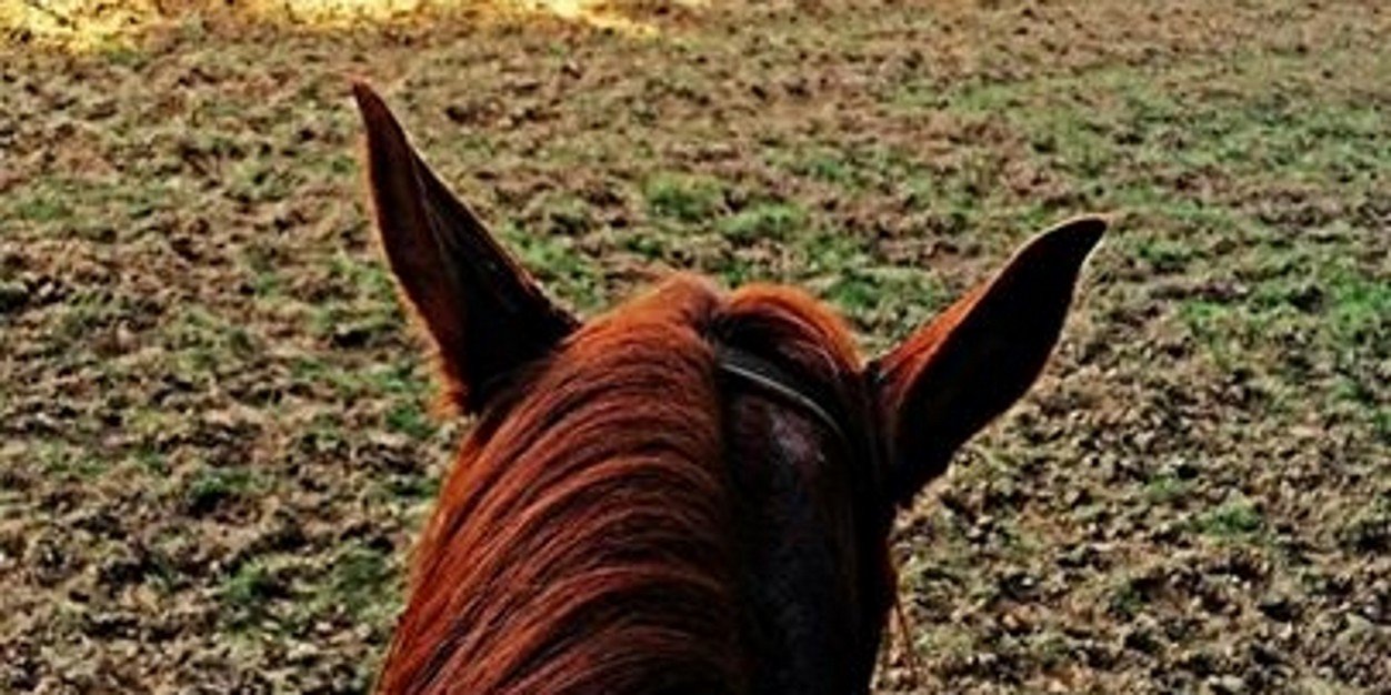 brutasmemo4's profile banner image
