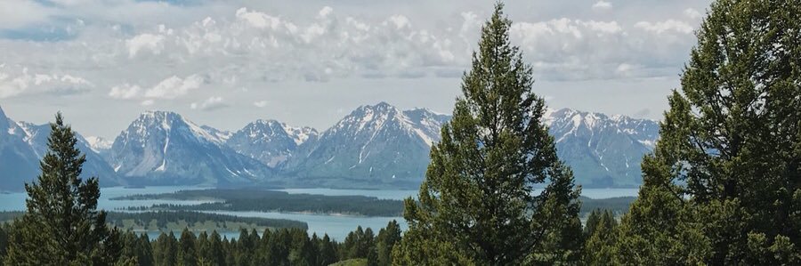carlycormier_'s profile banner image