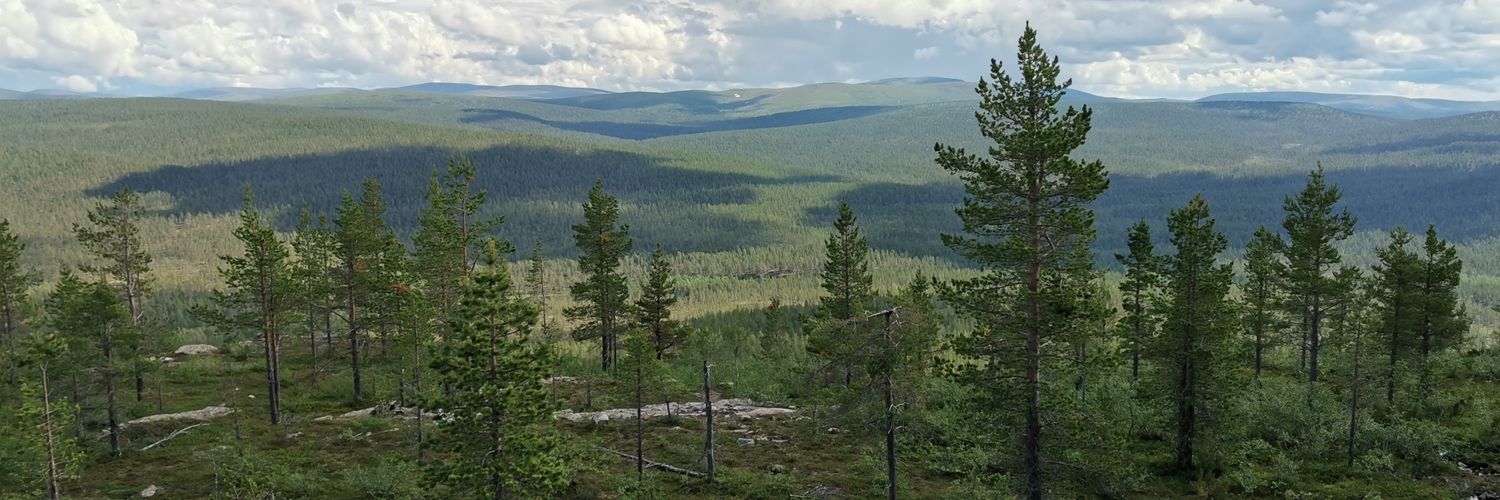 carovalley's profile banner image