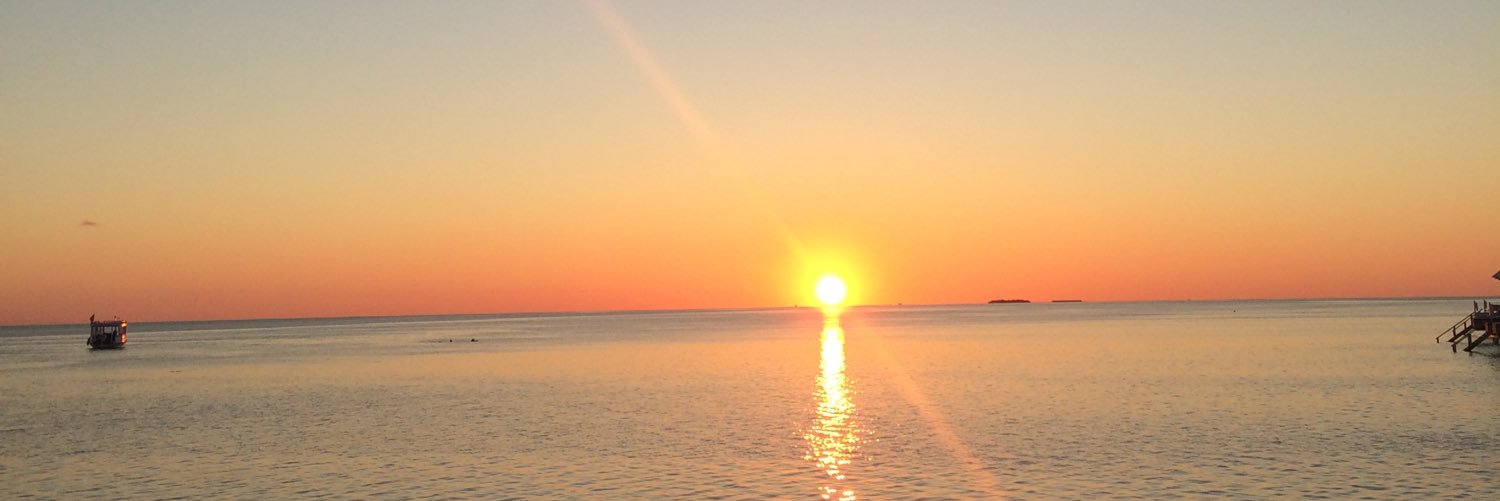 MartiAngi95's profile banner image