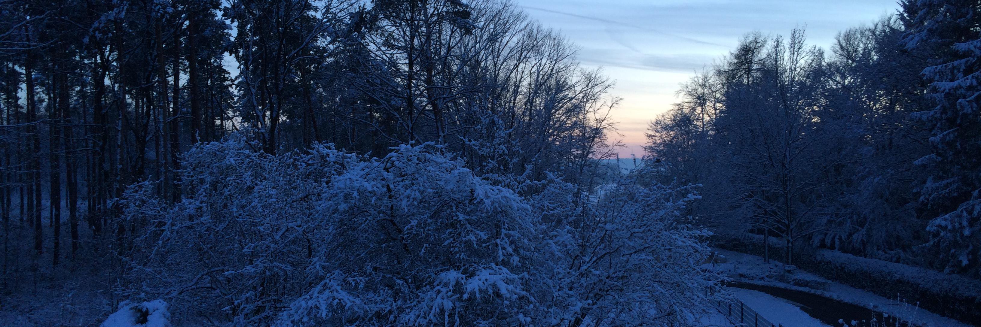 GeorgHenke's profile banner image