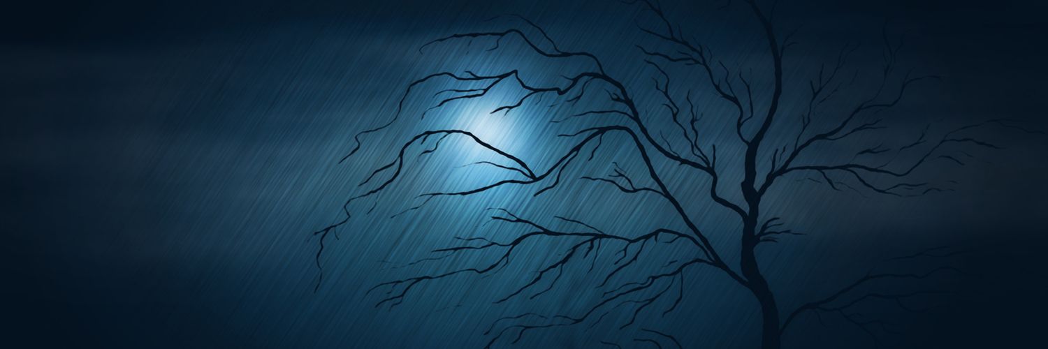 SeengerMeex's profile banner image