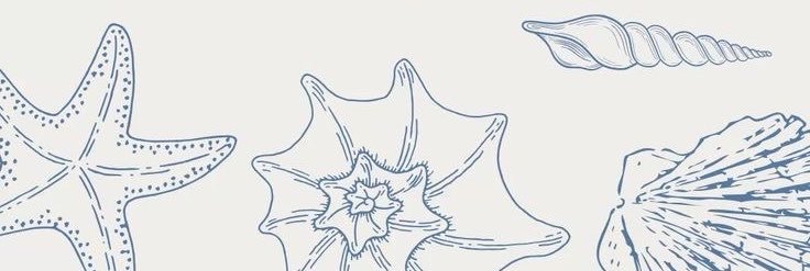 madi_milller's profile banner image