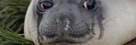 just_why_ok's profile banner image