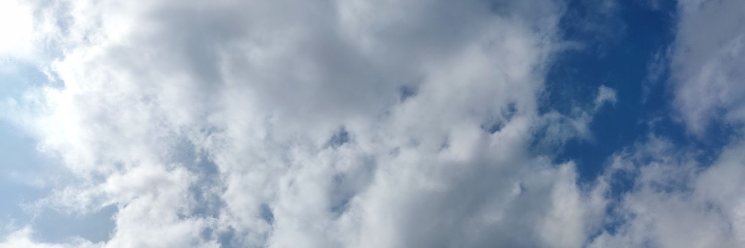 Conejo banner
