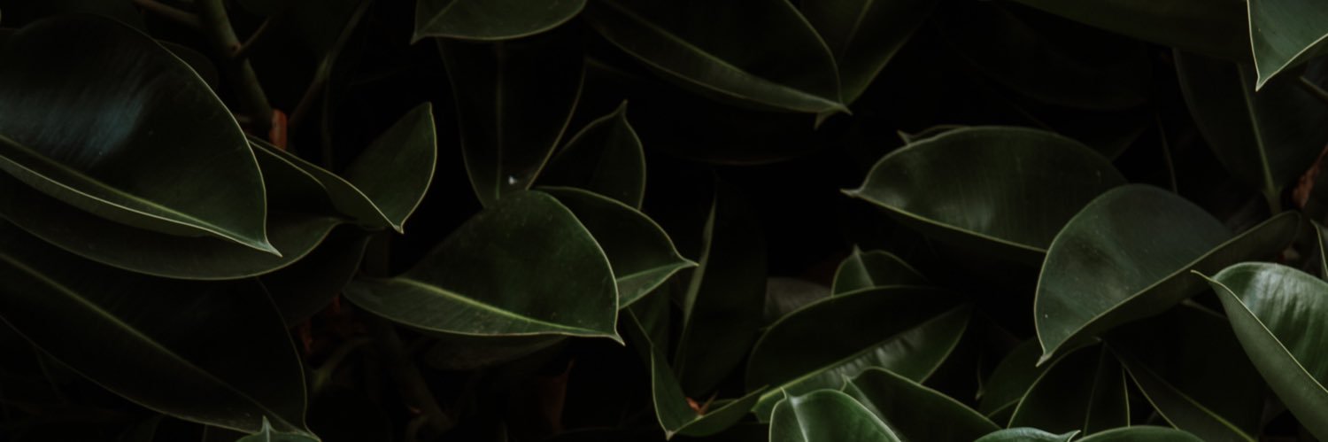 fixadreaam's profile banner image