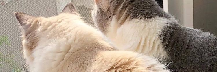 nap_monster's profile banner image