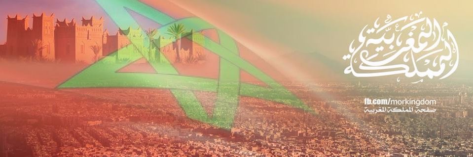 morkingdom's profile banner image