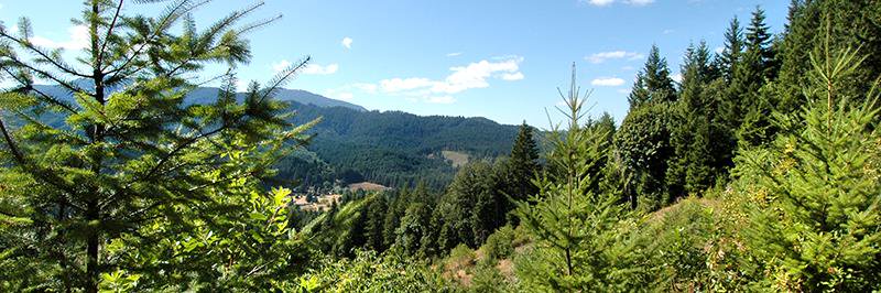 Oregon_SAF's profile banner image