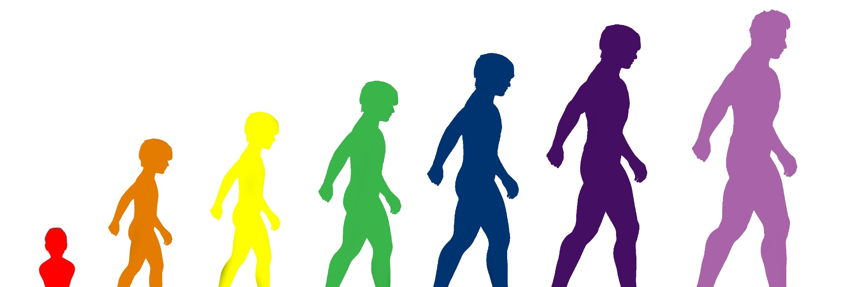 CSGWexford's profile banner image