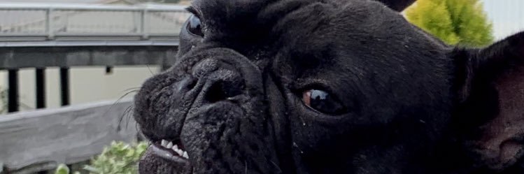 logicohnicoh's profile banner image