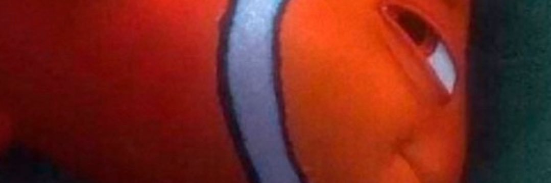 nothing2Cxxxx's profile banner image