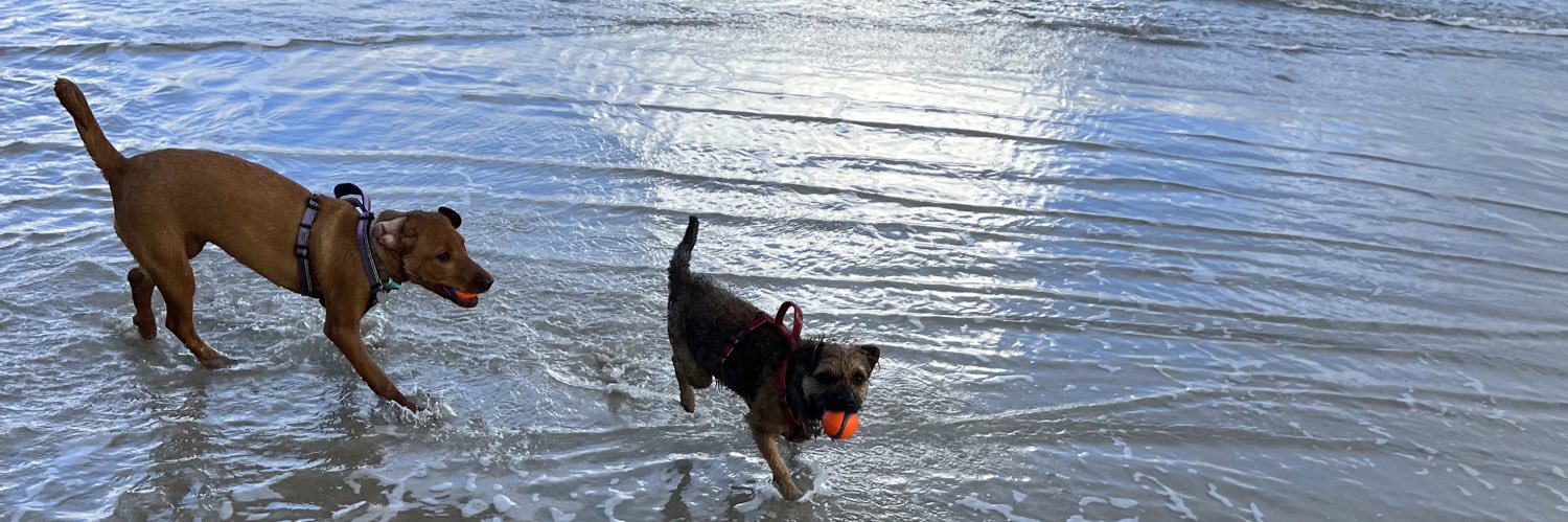 Victoria Groulef banner