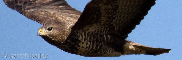 gazz_1913's profile banner image