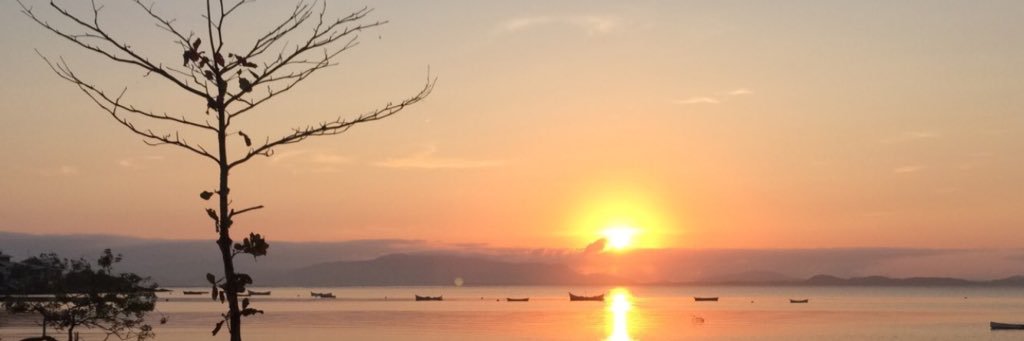 natdemetrio's profile banner image