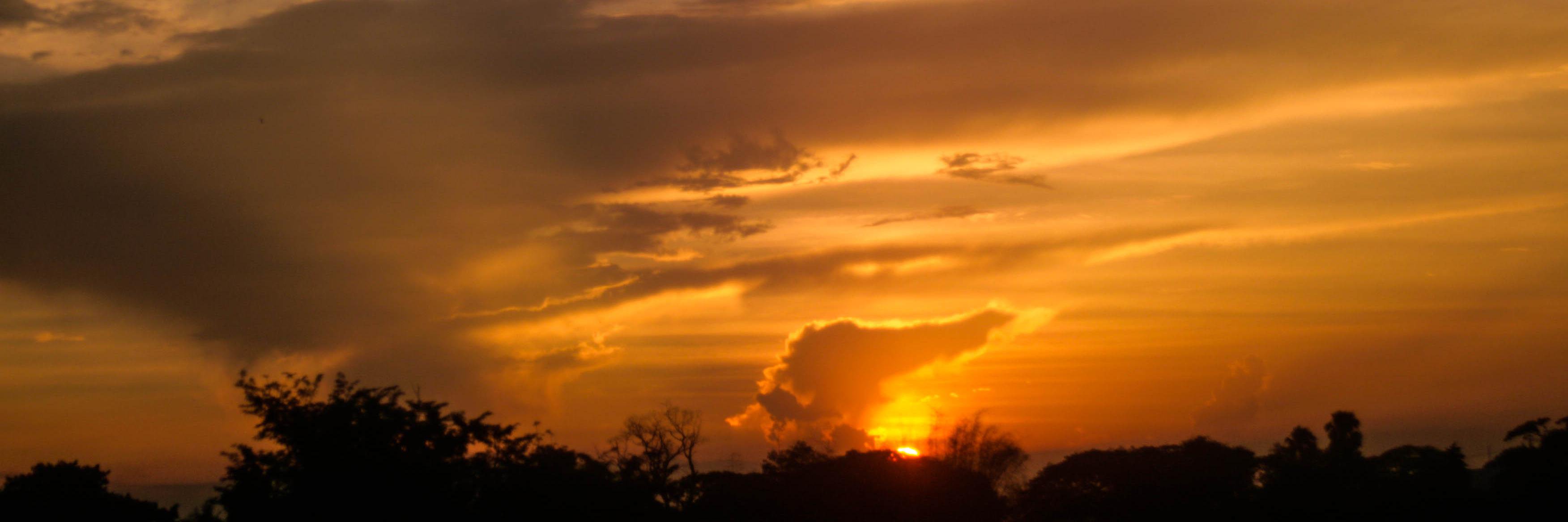 Samanyi_VarG's profile banner image