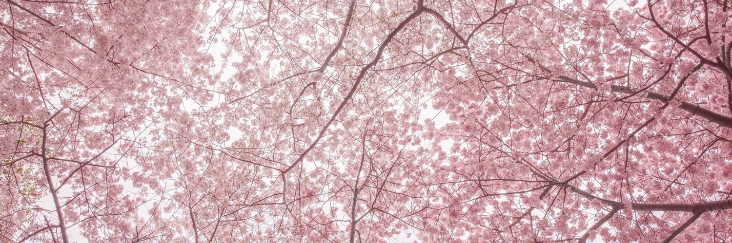 eliissaaa_'s profile banner image