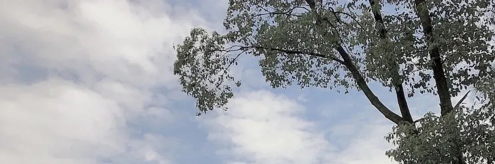 Kayso68's profile banner image