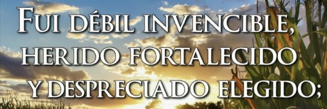 Capu Clemente Medina banner