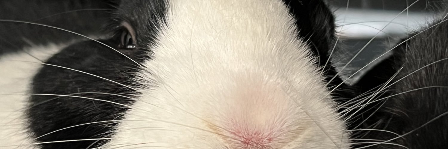 tashateanby's profile banner image