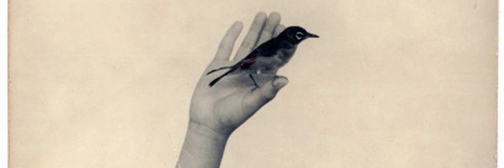 Rodelario's profile banner image