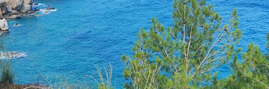 mina_ozlem's profile banner image