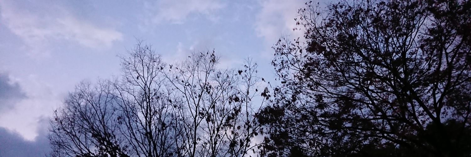 mityu32_open's profile banner image