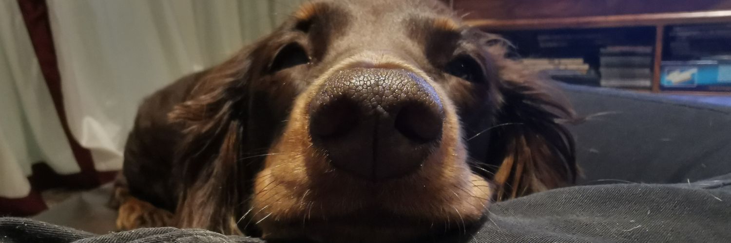 trisblack's profile banner image