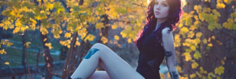 fallenmoon13's profile banner image
