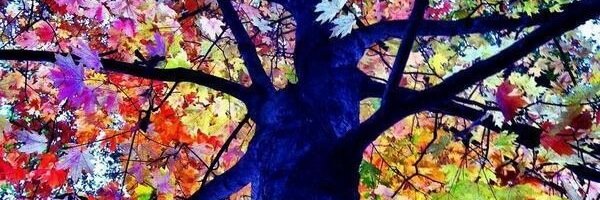 SandyGrazie's profile banner image
