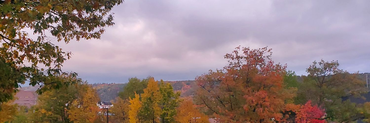 ze_fortune's profile banner image