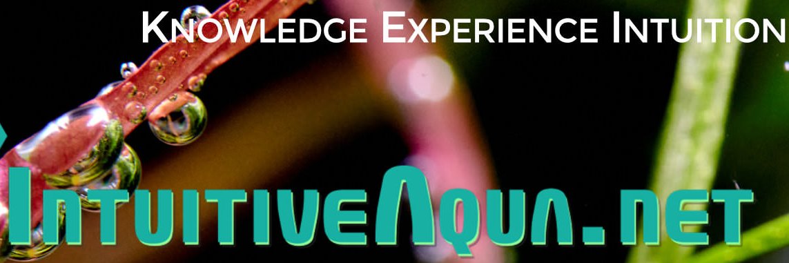 intuitiveaqua's profile banner image